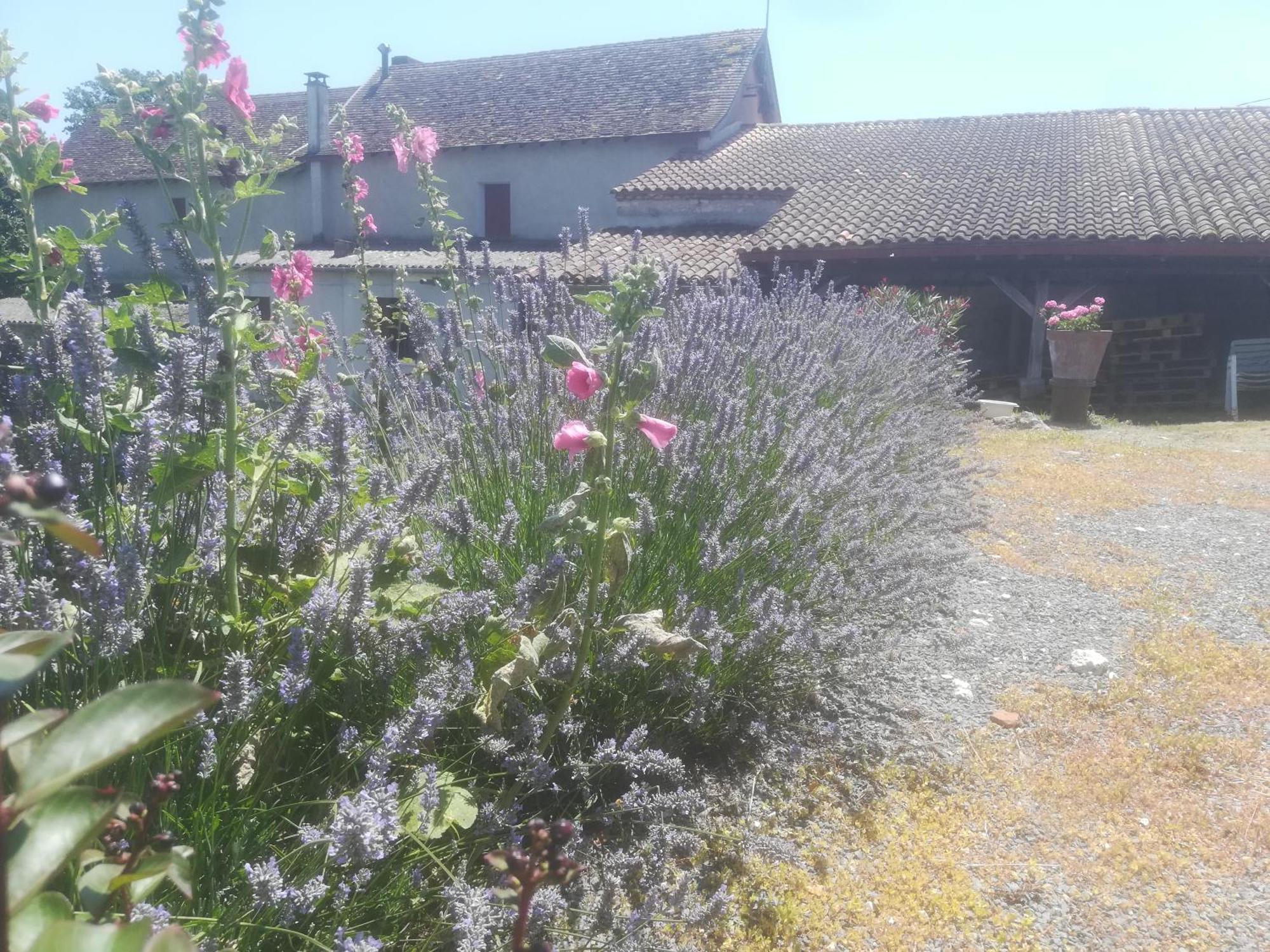 Les Vignes Villa Pomport Exterior photo